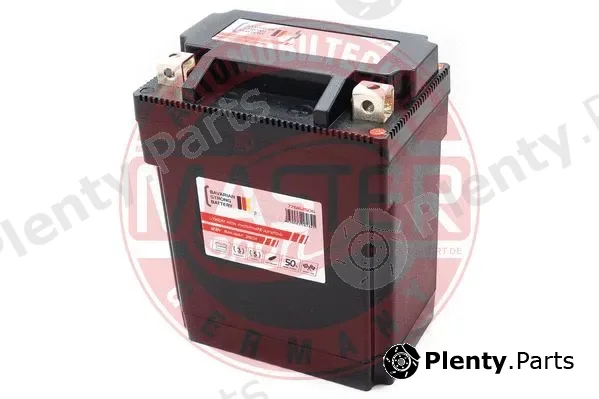 Master-Sport Germany 776162506 — Starter Battery