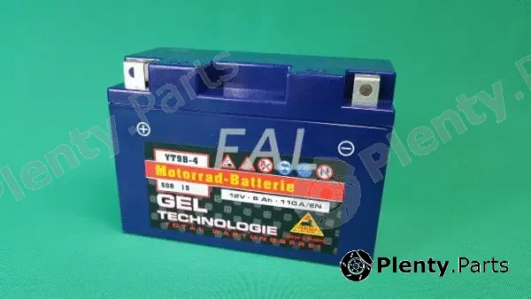 FAL F005694/1 — Starter Battery Batterie