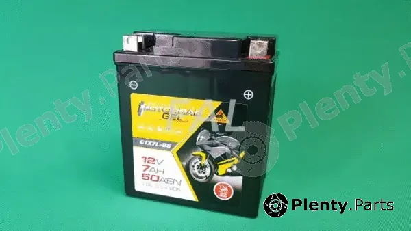 FAL F005692/2 — Starter Battery Batterie