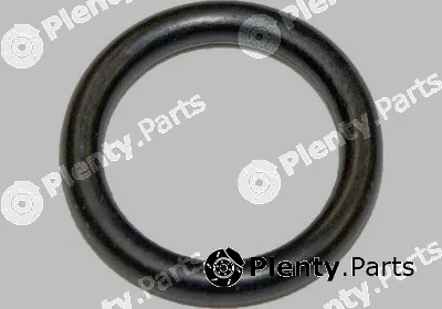 Van Wezel 99002813 — Gasket, coolant pipe