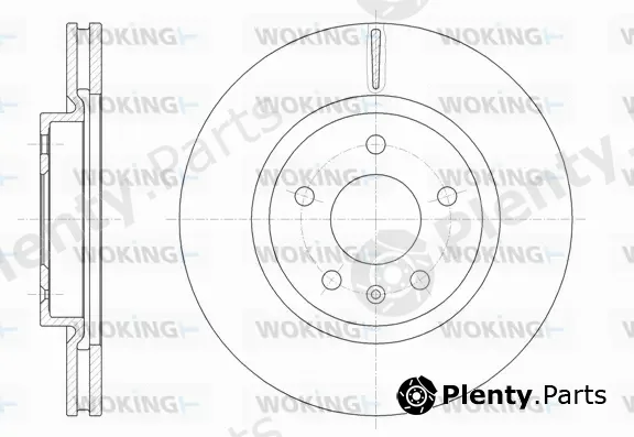Woking D61829.10 — Brake Disc