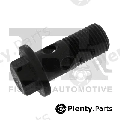 FA1 989-10-011 — Banjo Bolt, charger