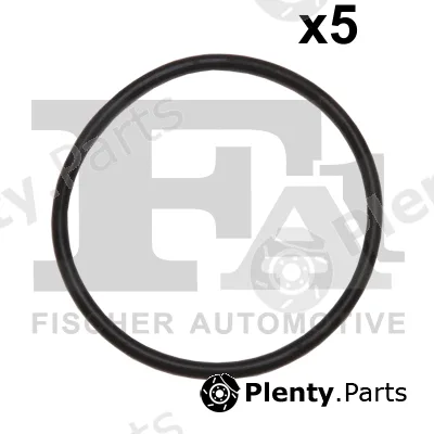 FA1 076.570.005 — Seal Ring