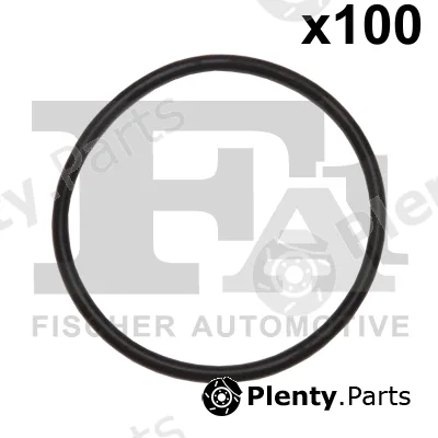 FA1 076.570.100 — Seal Ring