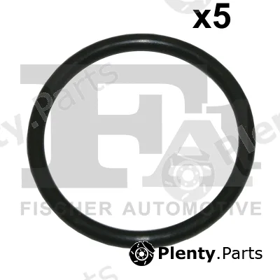 FA1 076.487.005 — Seal Ring