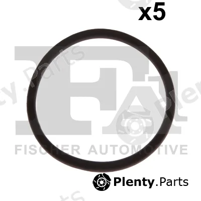 FA1 076.569.005 — Seal Ring
