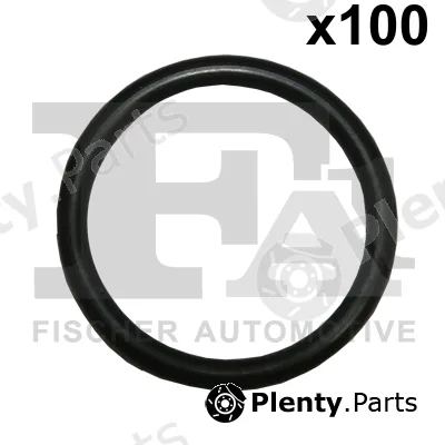 FA1 076.401.100 — Seal Ring