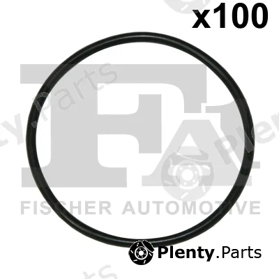 FA1 076.527.100 — Seal Ring