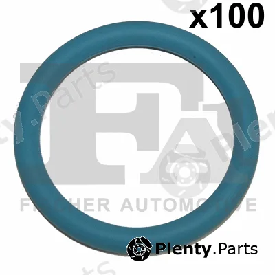 FA1 076.319.100 — Seal Ring