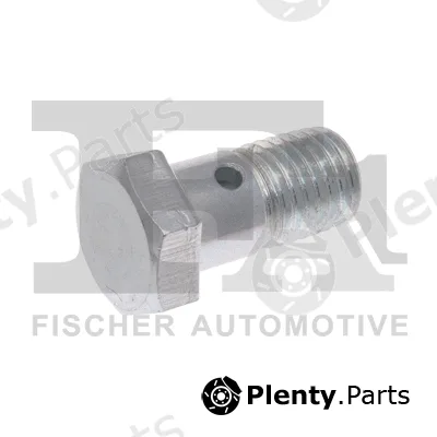 FA1 989-12-004 — Banjo Bolt, charger
