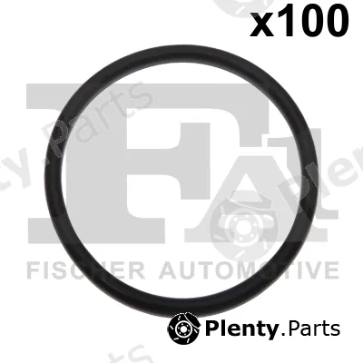FA1 076.541.100 — Seal Ring