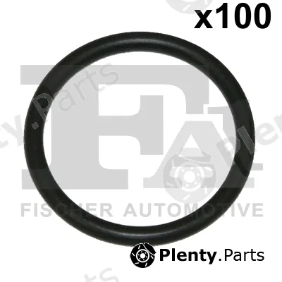 FA1 076.443.100 — Seal Ring