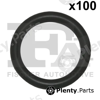FA1 076.315.100 — Seal Ring