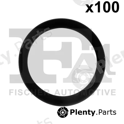 FA1 076.610.100 — Seal Ring