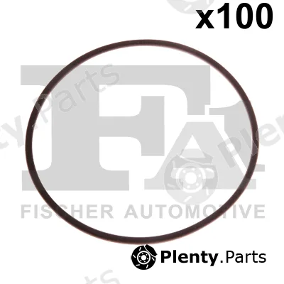 FA1 076.581.100 — Seal Ring