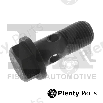FA1 989-10-016 — Banjo Bolt, charger