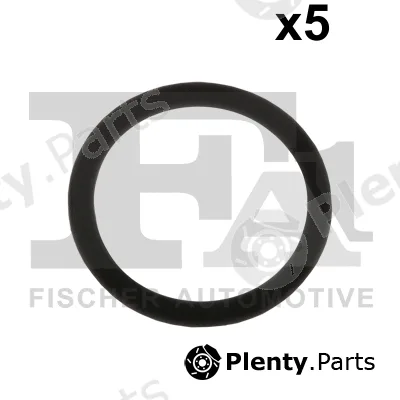 FA1 076.553.005 — Seal Ring