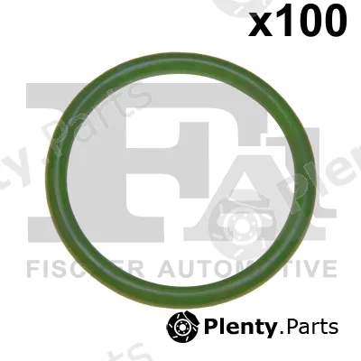 FA1 076.563.100 — Seal Ring