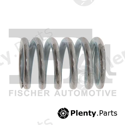 FA1 795-902 — Spring, muffler