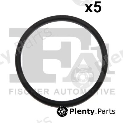 FA1 076.541.005 — Seal Ring