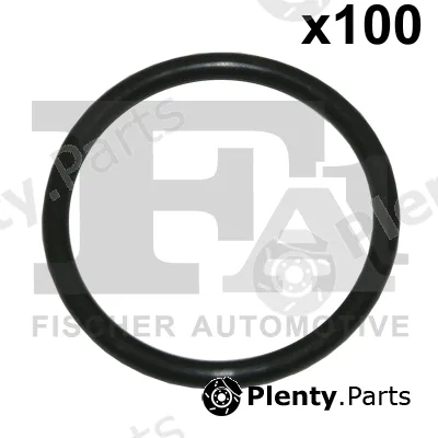 FA1 076.487.100 — Seal Ring