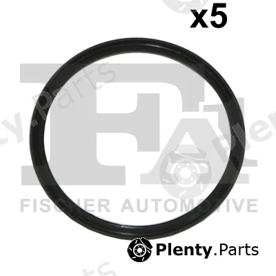 FA1 076.411.005 — Seal Ring