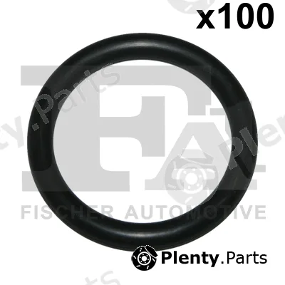 FA1 076.317.100 — Seal Ring