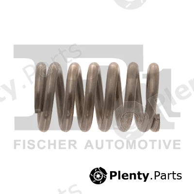 FA1 105-902 — Spring, muffler