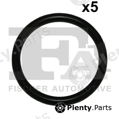 FA1 076.434.005 — Seal Ring
