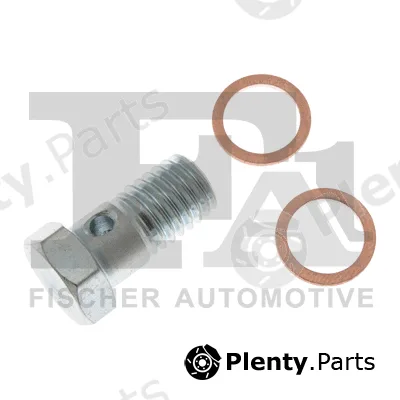 FA1 989-10-009.021 — Banjo Bolt, charger