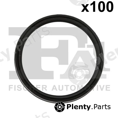 FA1 076.601.100 — Seal Ring