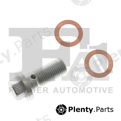 FA1 989-10-010.021 — Banjo Bolt, charger