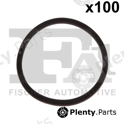 FA1 076.569.100 — Seal Ring
