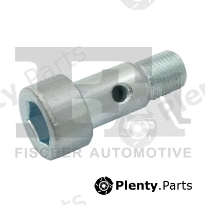 FA1 989-10-002 — Banjo Bolt, charger