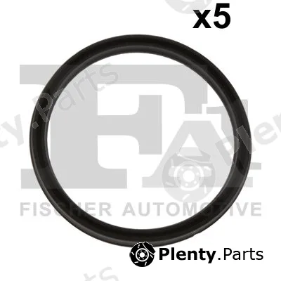FA1 076.707.005 — Seal Ring