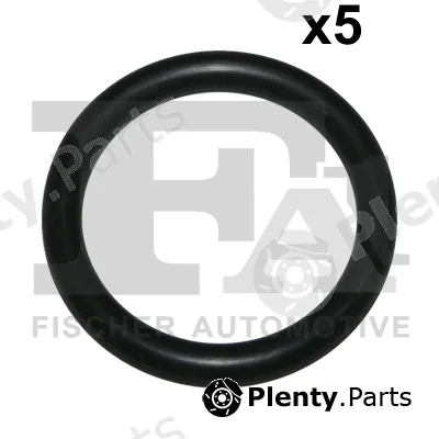 FA1 076.317.005 — Seal Ring