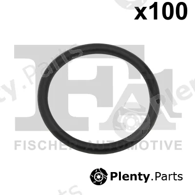 FA1 076.607.100 — Seal Ring
