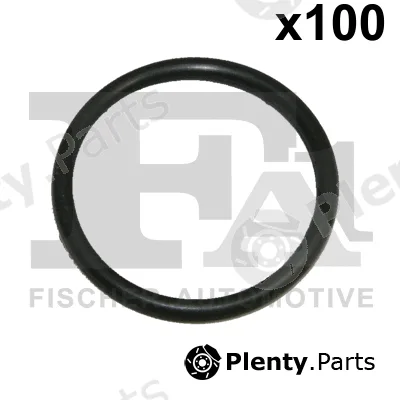 FA1 076.507.100 — Seal Ring