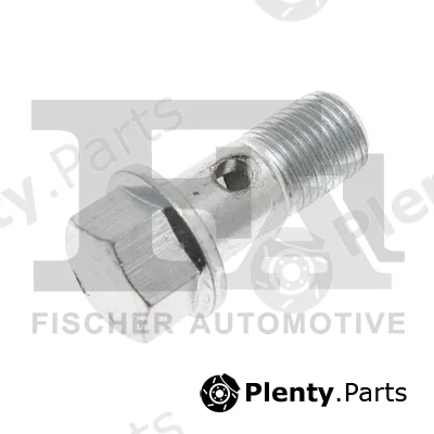 FA1 989-10-008 — Banjo Bolt, charger