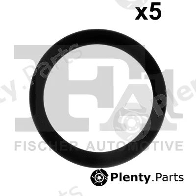 FA1 076.610.005 — Seal Ring