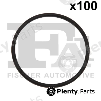 FA1 076.529.100 — Seal Ring