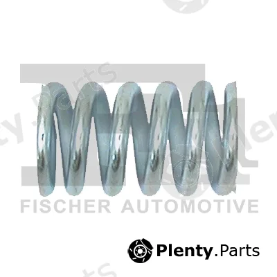 FA1 135-905 — Spring, muffler
