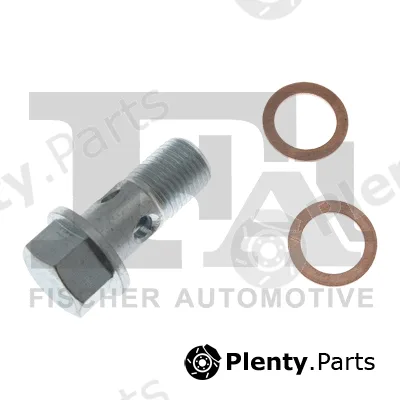 FA1 989-10-008.021 — Banjo Bolt, charger
