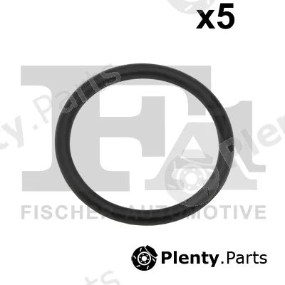 FA1 076.607.005 — Seal Ring