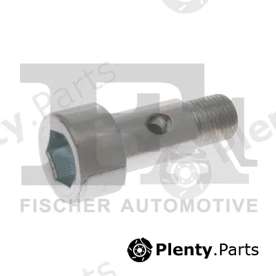 FA1 989-10-005 — Banjo Bolt, charger