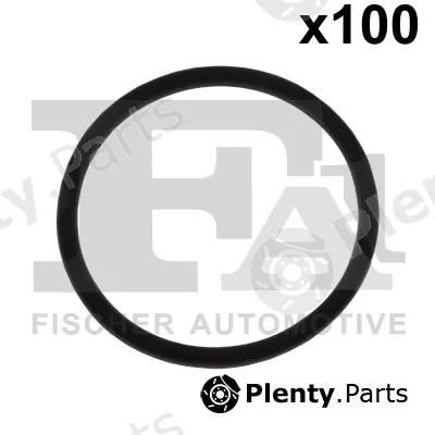 FA1 076.429.100 — Seal Ring