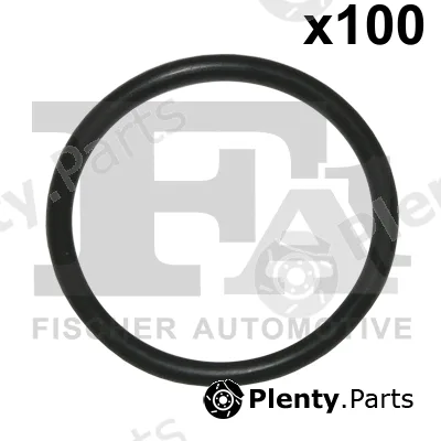 FA1 076.340.100 — Seal Ring