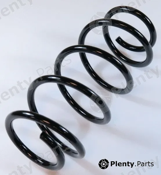 Apex 66800 — Suspension Spring