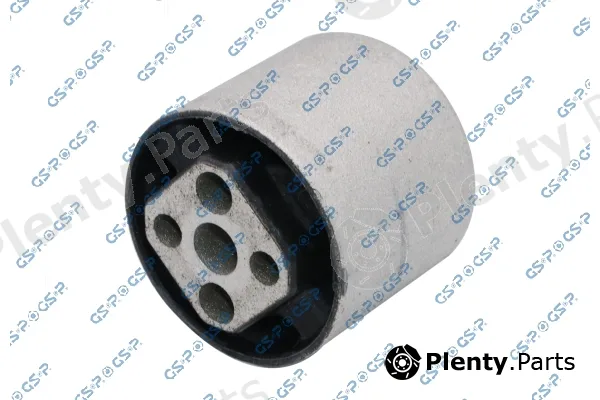 GSP 535787 — Mounting, differential