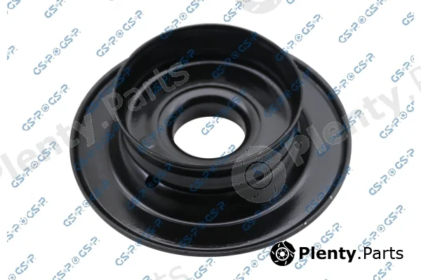 GSP 538135 — Spring Mounting
